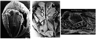 Capture d’écran 2014-12-04 à 09.49.22.png