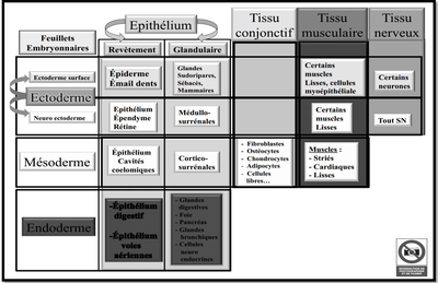 Capture d’écran 2014-12-04 à 11.36.54.png