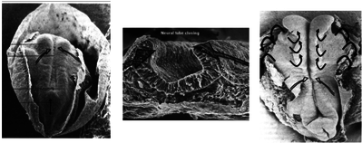 Capture d’écran 2014-12-04 à 13.24.12.png