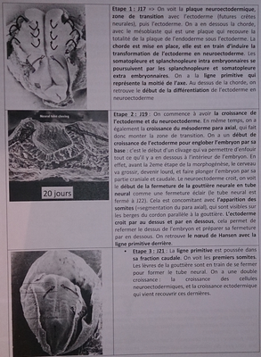 Capture d’écran 2014-10-01 à 21.58.21.png