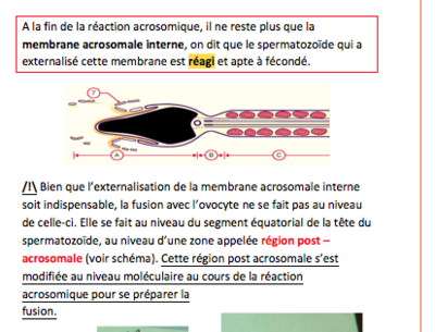 Capture d’écran 2014-12-04 à 20.55.03.png