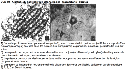 Capture d’écran 2014-12-05 à 15.32.13.png