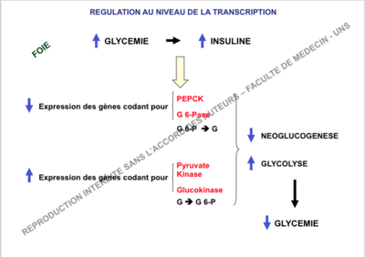 Capture d’écran 2014-12-05 à 17.20.25.png