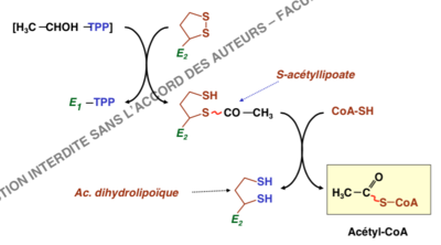 Capture d’écran 2014-12-05 à 23.24.24.png