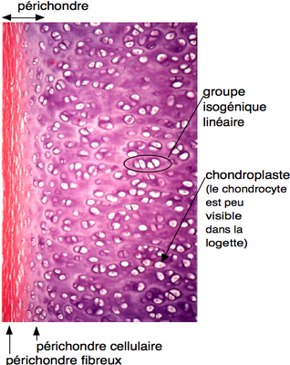 Capture d’écran 2014-12-06 à 16.08.48.png