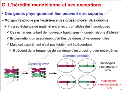 Capture d’écran 2014-12-06 à 19.25.08.png