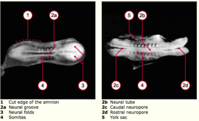 Capture d’écran 2014-12-07 à 12.28.42.png