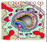 Capture d’écran 2014-12-07 à 18.54.27.png