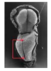 Capture d’écran 2014-12-07 à 18.55.39.png