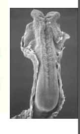 Capture d’écran 2014-12-07 à 18.55.55.png