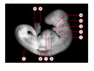 Capture d’écran 2014-12-07 à 18.56.12.png