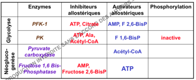 Capture d’écran 2014-12-08 à 13.49.43.png