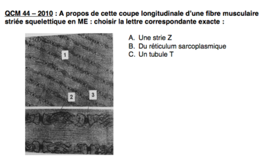 Capture d’écran 2014-12-08 à 23.24.46.png