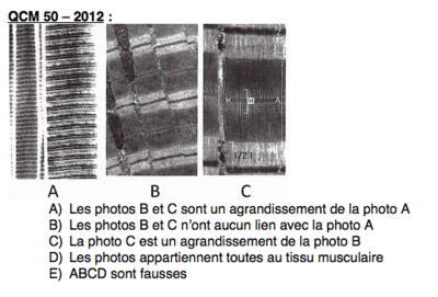 Capture d’écran 2014-12-08 à 23.29.42.png