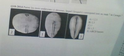 HPBEATS - WIN_20141209_132134.JPG