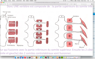 Capture d’écran 2014-12-09 à 17.24.56.png