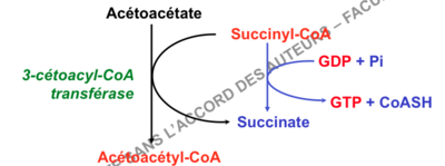 Capture d’écran 2014-12-09 à 19.17.01.png