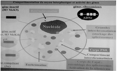 Capture d’écran 2014-12-09 à 21.26.32.png