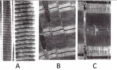 Capture d’écran 2014-12-09 à 21.32.51.png