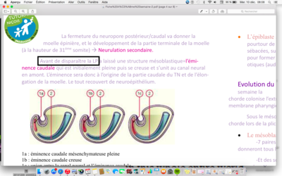 Capture d’écran 2014-12-10 à 08.08.56.png