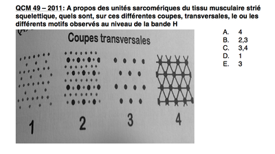Capture d’écran 2014-12-11 à 09.15.07.png