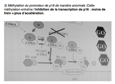 Capture d’écran 2014-12-11 à 13.35.51.png