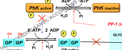 Capture d’écran 2014-12-12 à 09.37.51.png