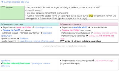 Capture d’écran 2014-12-12 à 12.21.35.png