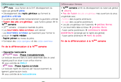 Capture d’écran 2014-12-12 à 12.22.31.png
