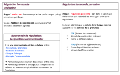 Capture d’écran 2014-12-12 à 20.13.41.png