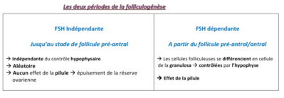 Capture d’écran 2014-12-12 à 20.14.27.png