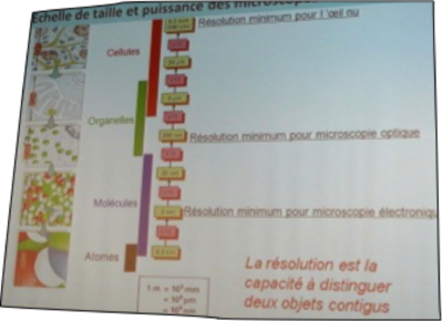 microscopie.png