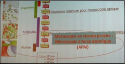 microscopie 2png.png