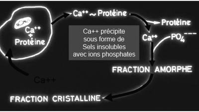 Capture d’écran 2014-12-14 à 10.41.54.png