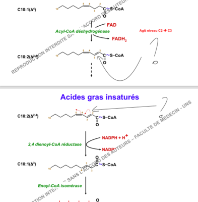 Capture d’écran 2014-12-14 à 12.43.51.png