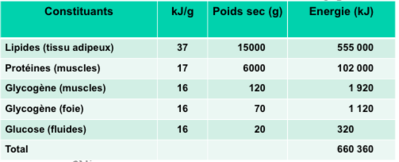Capture d’écran 2014-12-14 à 21.27.28.png