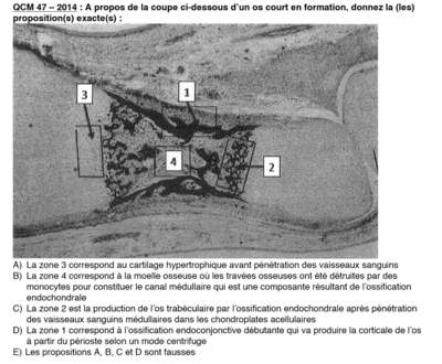 Capture d’écran (48).png