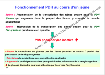 Capture d’écran 2014-12-16 à 00.06.20.png