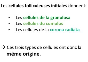 Capture d’écran 2014-12-16 à 12.16.18.png