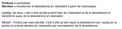 Capture d’écran 2014-12-17 à 13.39.08.png
