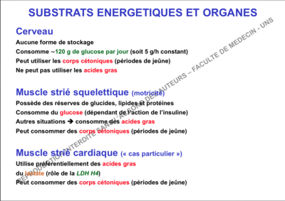 Capture d’écran 2014-12-20 à 19.22.36.png