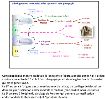 Capture d’écran 2015-01-09 à 10.16.08.png