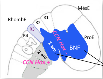 Capture d’écran 2015-01-09 à 10.18.09.png