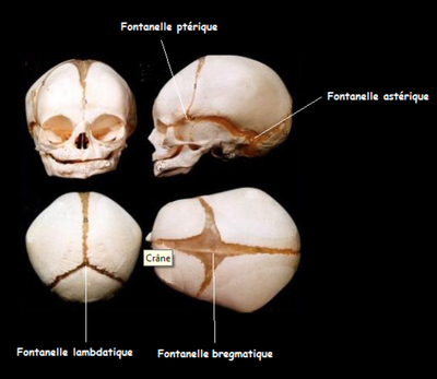Capture d’écran 2015-01-11 à 12.01.30.png