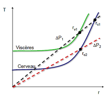 protection hiérarchisée.png