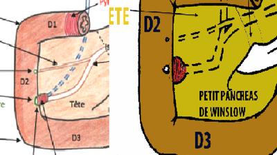 Capture d'écran 2.png