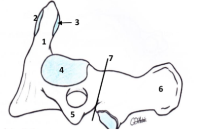 Capture d’écran 2015-01-17 à 09.36.49.png