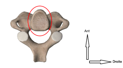Capture d’écran 2015-01-17 à 09.58.12.png