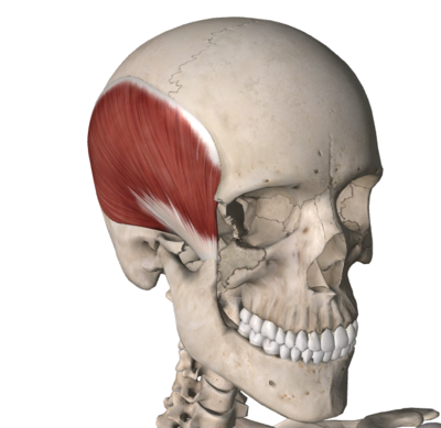 Capture d’écran 2015-01-17 à 14.12.56.png