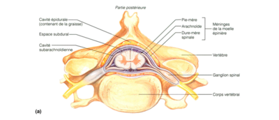 Capture d’écran 2015-01-20 à 18.24.32.png